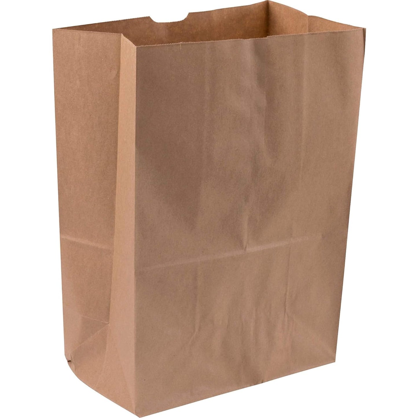80076: Bag, Paper (#57)