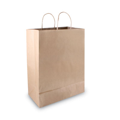091566: Bag, Paper