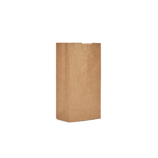 4# Natural Kraft Bag