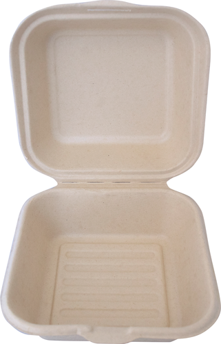 TG-B-66: Disposable Take Out Container