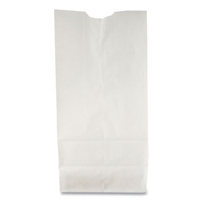BAGGW6-500: Bag, Paper